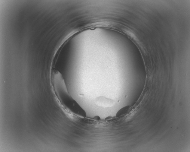 X0000068831426200605191847