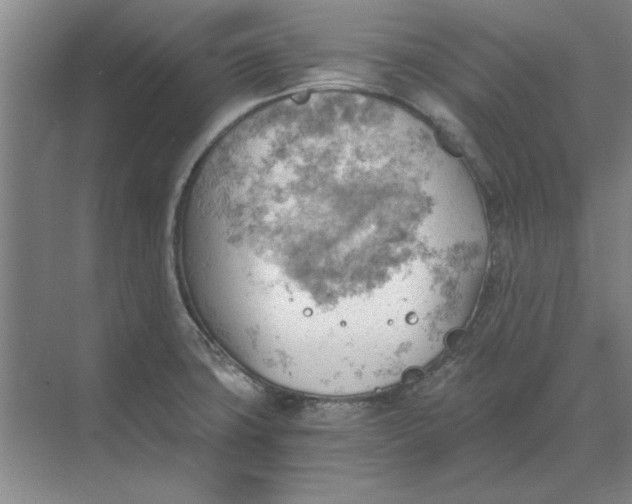 X0000068831427200605191847