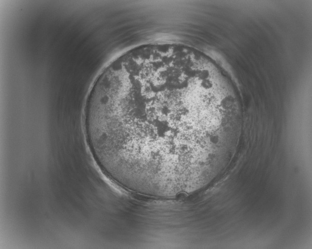 X0000068831429200605191847