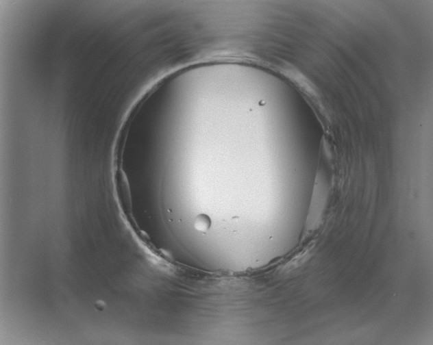 X0000068831430200605191847