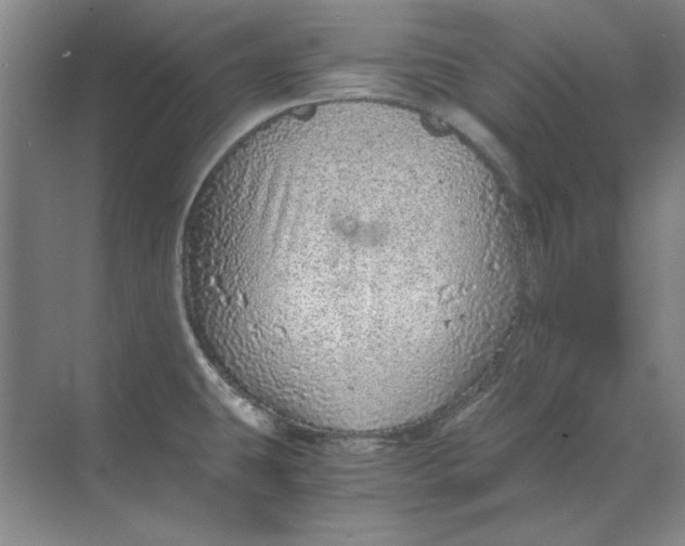 X0000068831431200605191847