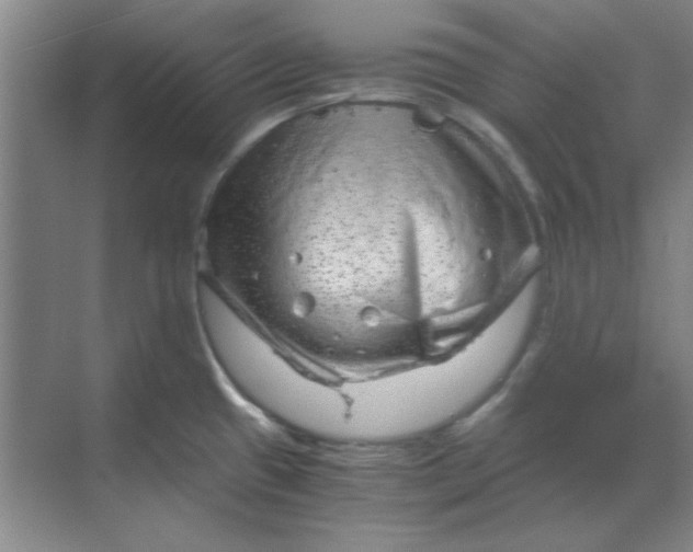 X0000068831433200605191847