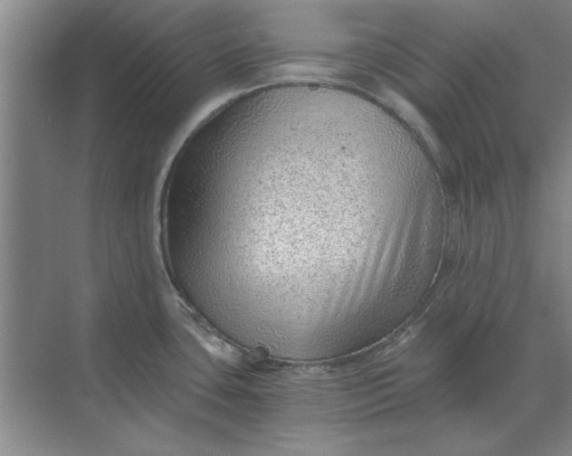 X0000068831435200605191847