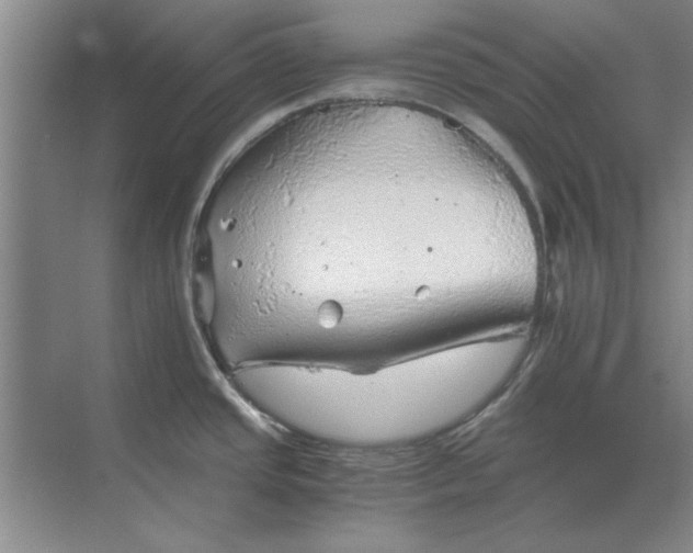 X0000068831437200605191847