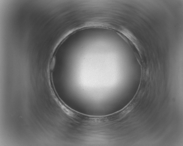 X0000068831438200605191847