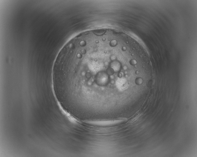 X0000068831439200605191847