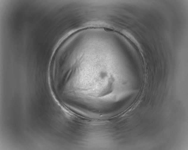 X0000068831440200605191847