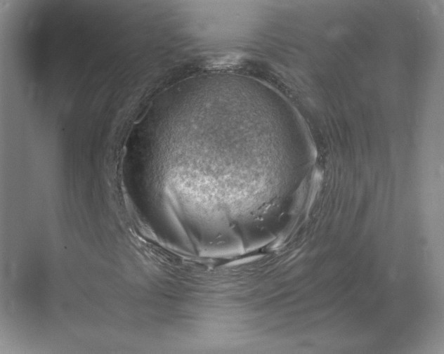 X0000068831441200605191847