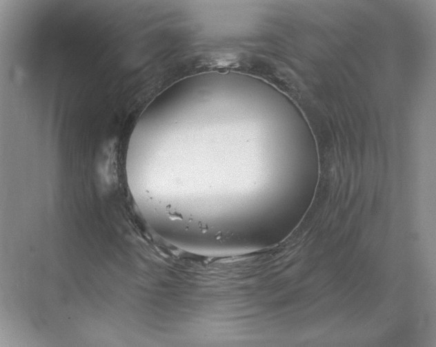 X0000068831442200605191847