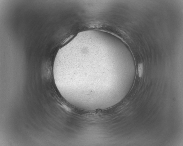 X0000068831444200605191847