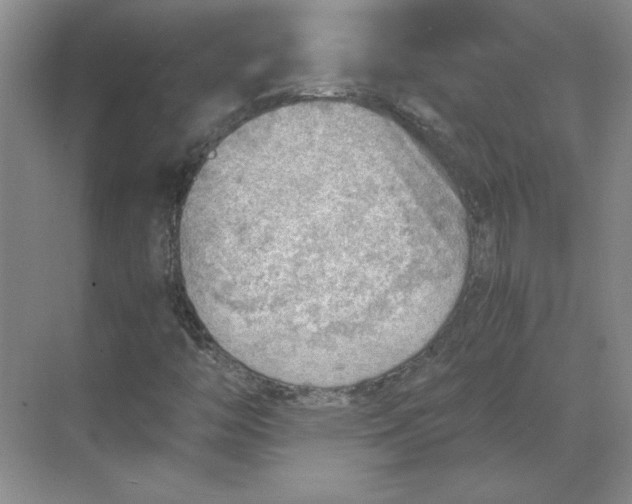 X0000068831446200605191847