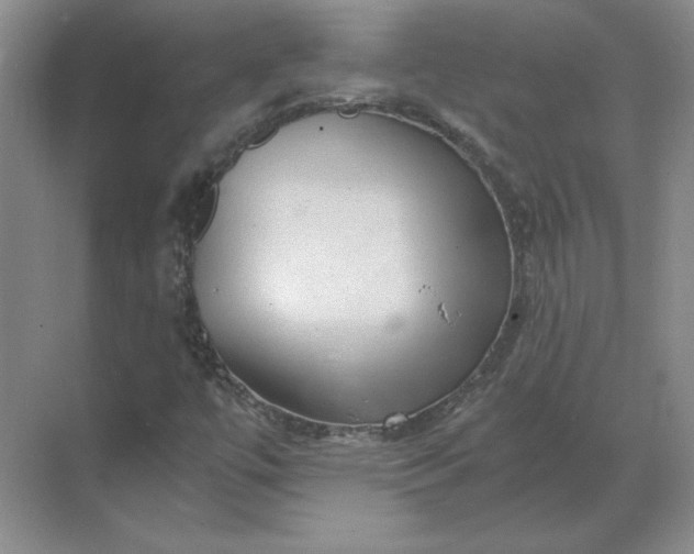 X0000068831447200605191847