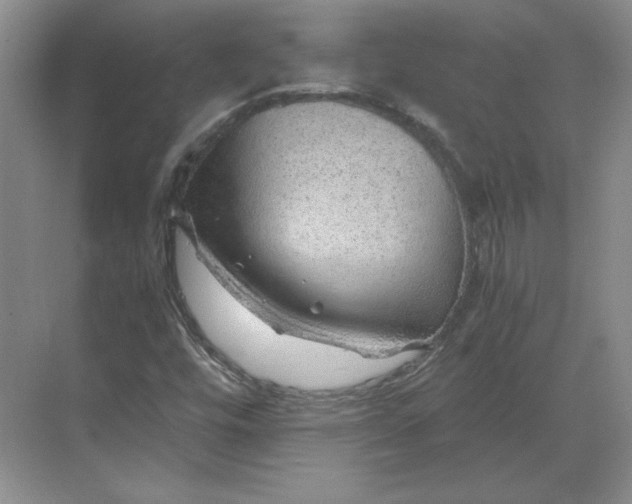 X0000068831448200605191847