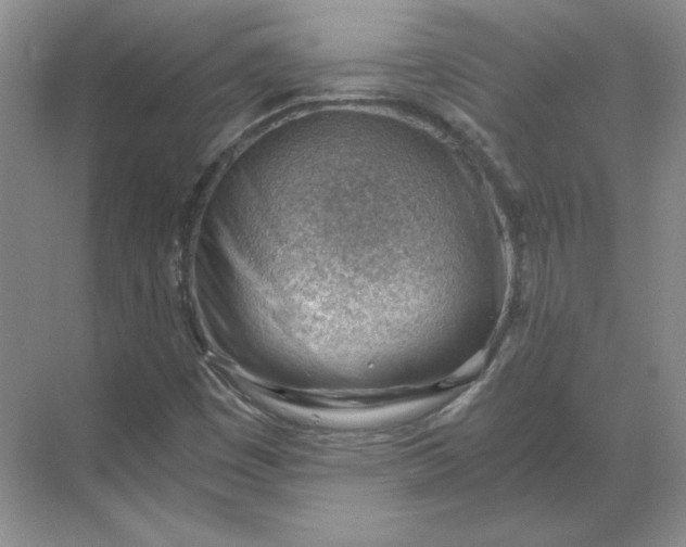 X0000068831449200605191846