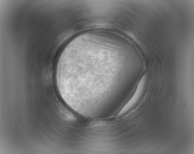 X0000068831450200605191846