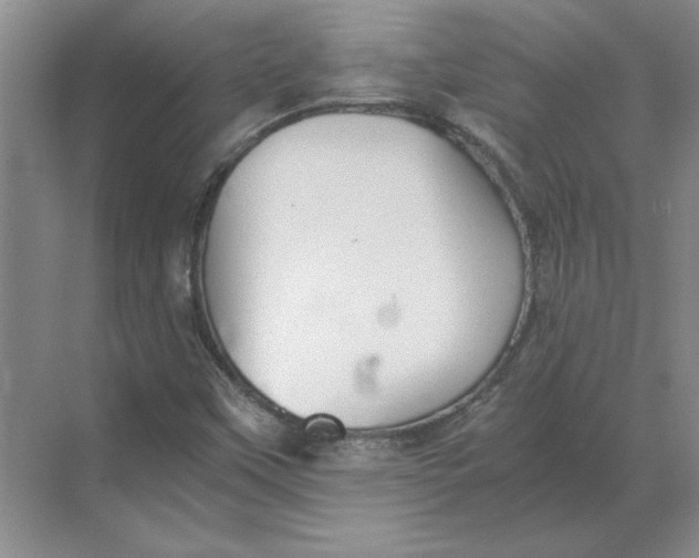 X0000068831451200605191846