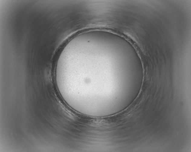 X0000068831452200605191846