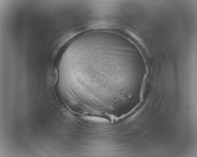 X0000068831453200605191846