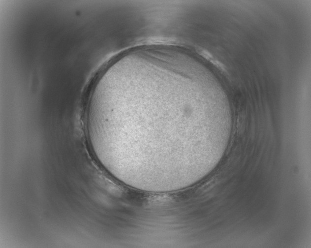 X0000068831454200605191846