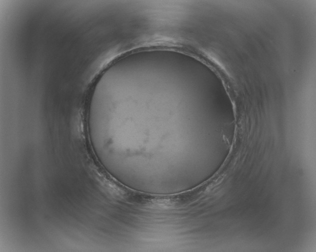 X0000068831455200605191846