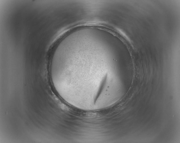 X0000068831456200605191846