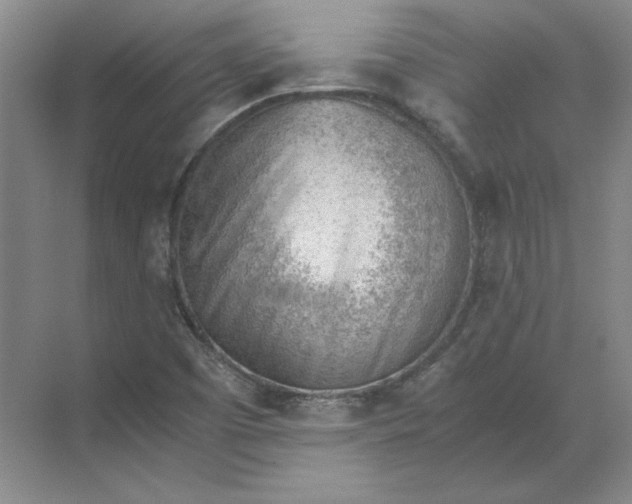 X0000068831457200605191846