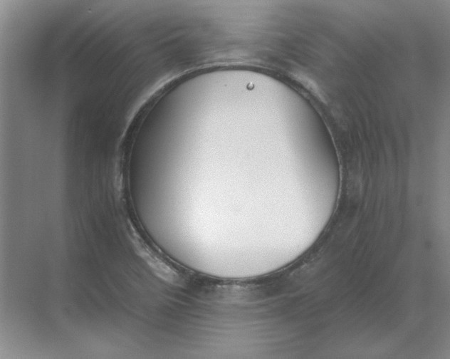 X0000068831458200605191846