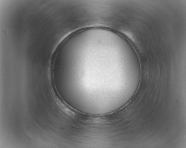 X0000068831460200605191846