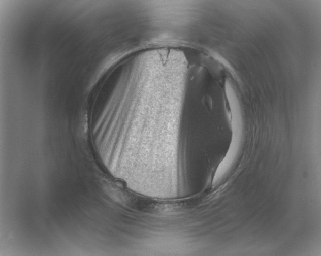 X0000068831461200605191846