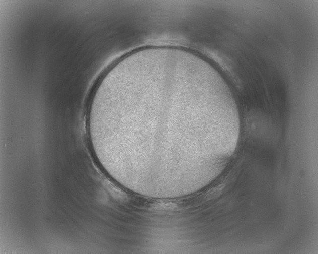 X0000068831462200605191846