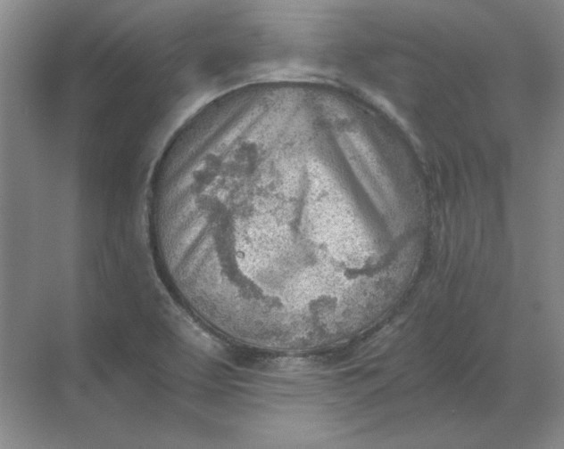 X0000068831463200605191846