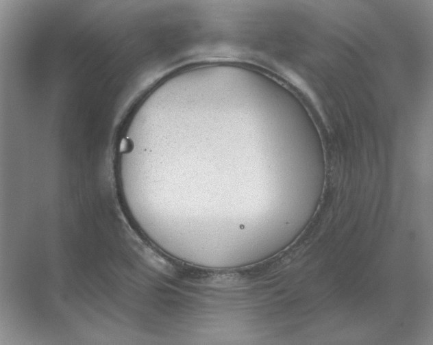 X0000068831464200605191846