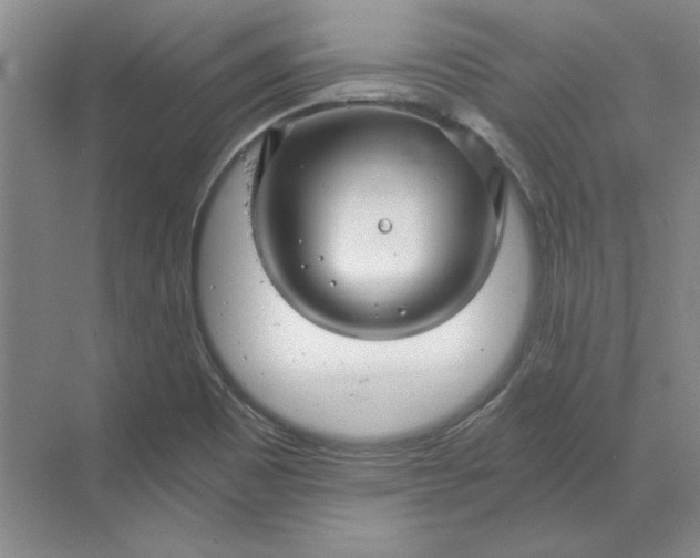 X0000068831465200605191846