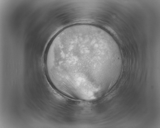 X0000068831466200605191846