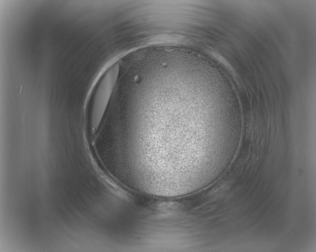 X0000068831467200605191846