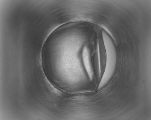 X0000068831468200605191846