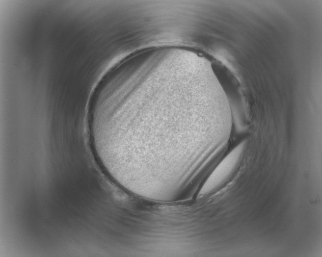 X0000068831469200605191846