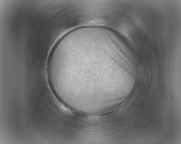 X0000068831470200605191846