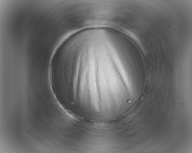 X0000068831472200605191846