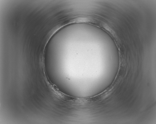 X0000068831473200605191846