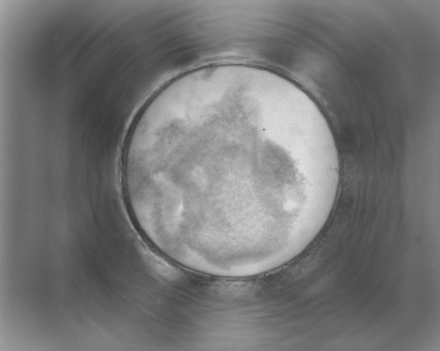 X0000068831474200605191846