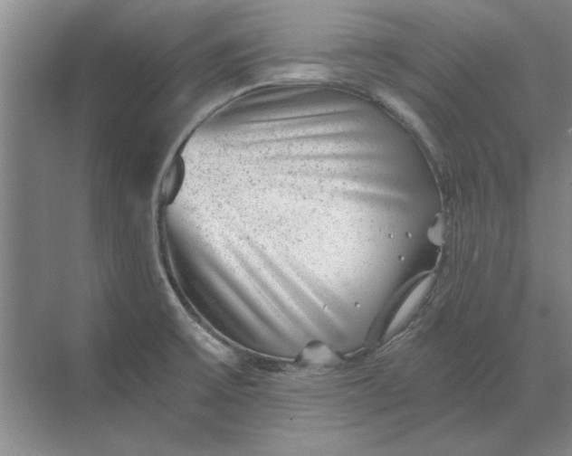 X0000068831475200605191846