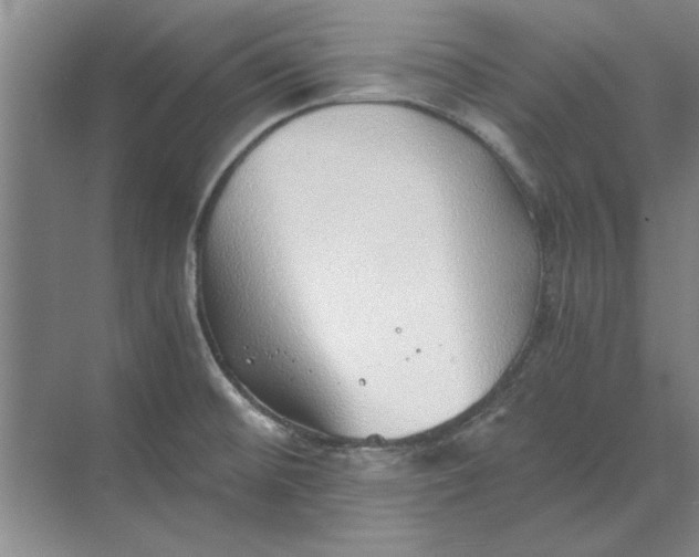 X0000068831476200605191846