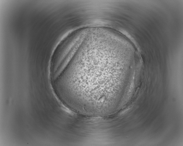 X0000068831477200605191846