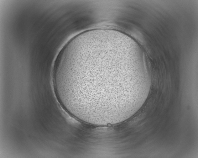 X0000068831478200605191846