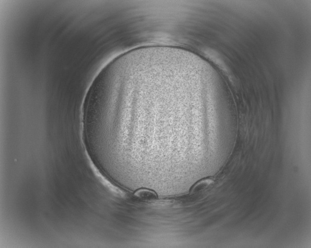 X0000068831479200605191846