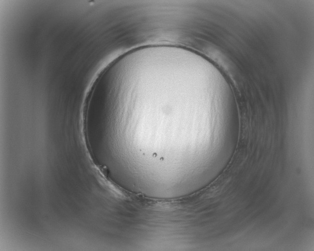 X0000068831480200605191846