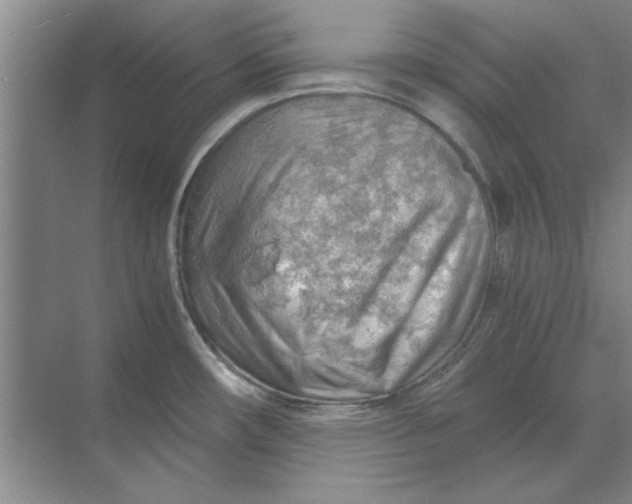 X0000068831482200605191846