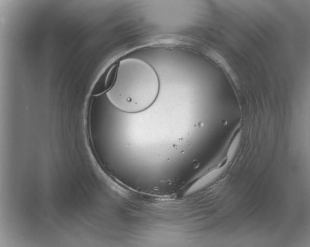 X0000068831483200605191846