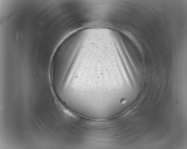 X0000068831486200605191846